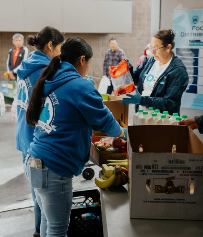 Volunteers in Daly City Partnership sweatshirts packing groceries at the walk-up distribution